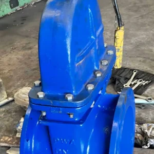 Gate Valve ประตูน้ำบนดิน-ใต้ดิน