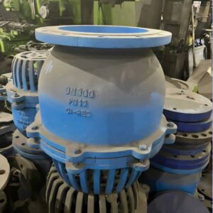 ฟุตวาล์ว (foot valve)